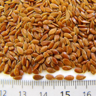 Flaxseeds/ LINESEEDS